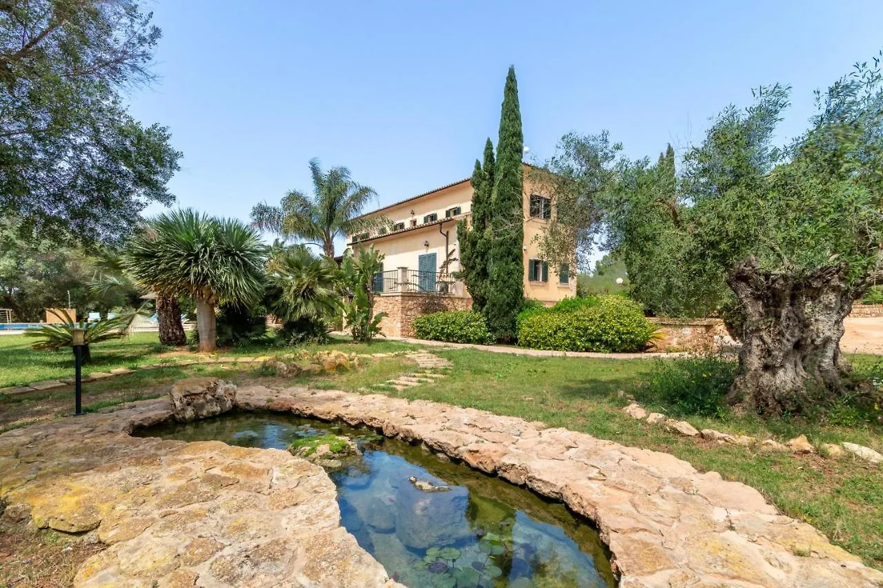 Ses Salines - 38370 Mallorca1 location