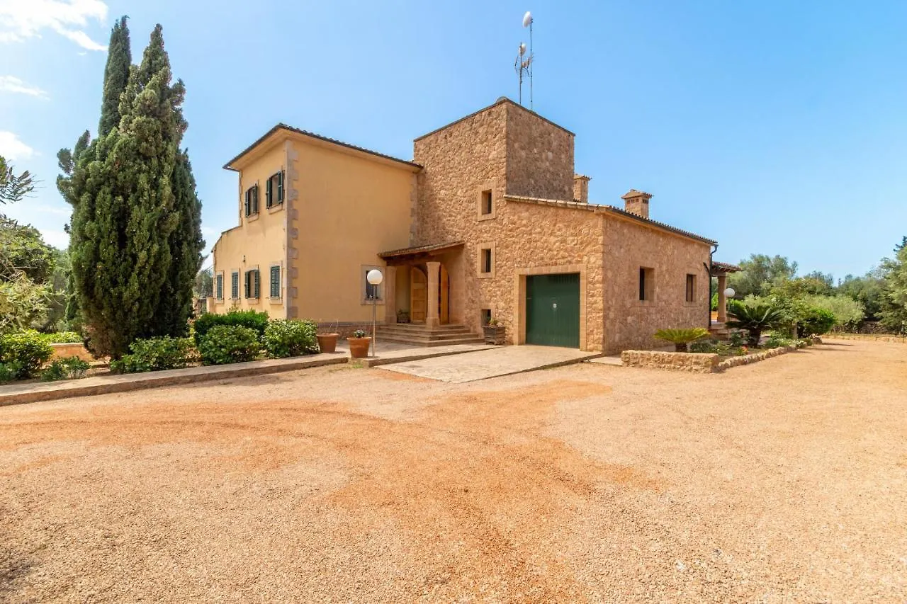 Holiday home Ses Salines - 38370 Mallorca1